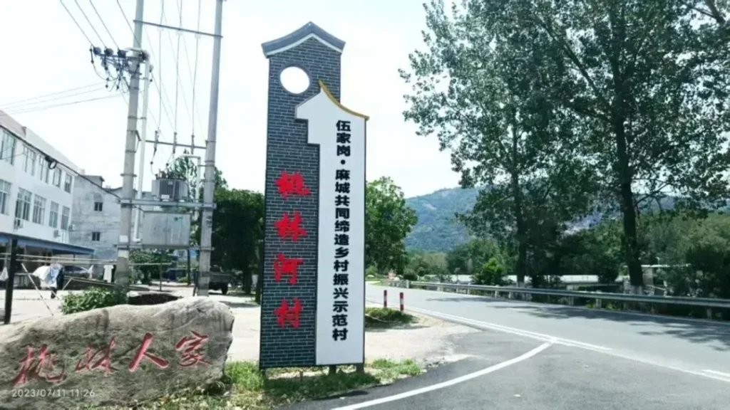 山海相连，春满桃林 | 科信联合助力黄冈麻城桃林河村绘就振兴画卷